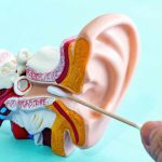 Ear Care Tips How to Keep Your Ears Healthy and Wax-Free